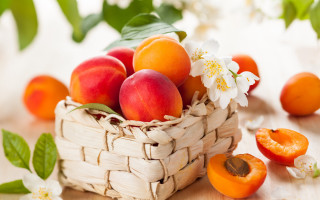 Peach basket flower leaves summer - summer vibrancy free wallpaper