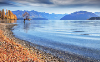Lone tree lake mountains cloudy - the shore of a lake free wallpaper for desktop
