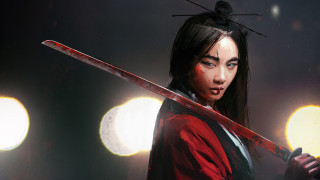 Woman sword bird moon night - her head and a bird free wallpaper