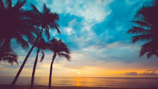 Sunset palm trees ocean clouds - a few cloud free wallpaper for desktop