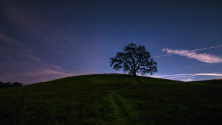 Lone tree hill night starry - free airplane wallpaper
