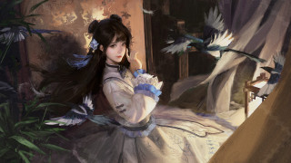 Woman white dress bird chun - above her head free wallpaper for desktop