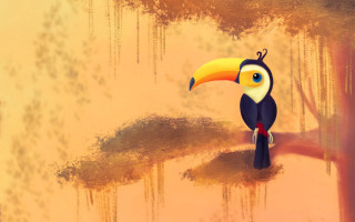 Colorful bird yellow beak black - a black body free wallpaper