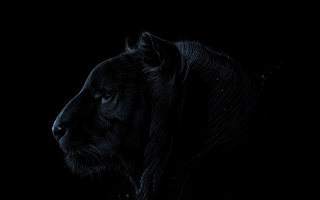 Tiger head water droplets monochrome - diego gisbert llorens free wallpaper for desktop