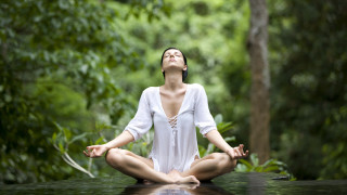 Woman yoga forest white shirt - her eye free wallpaper for desktop