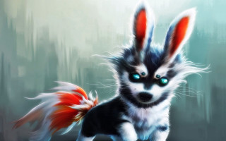 Dog blueeyes redtail whiteface furry - a white face free wallpaper