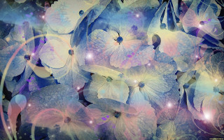 Flower blue background white circle - a painting of flowers free wallpaper for desktop