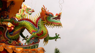 Dragon pine temple cloisonnism glowing - dragon art free wallpaper