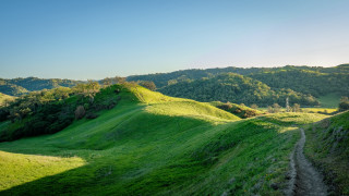 Grassy hill dirt path forest - a dirt path free wallpaper