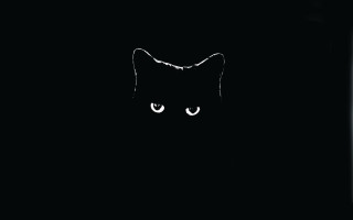 Black cat white eye crescent - visible free wallpaper