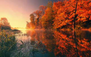 River trees sunset autumn magic - the background and a sunset in the background free wallpaper