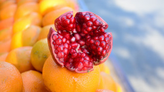 Pomegranate orange lemon blue bowl - arcimboldo free wallpaper