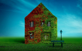 Green bench ivy building streetlight - front of a building free wallpaper