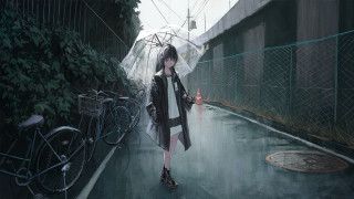 Woman walking rainy street bicycle - a street holding free wallpaper for desktop