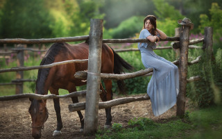 Woman blue dress fence horse - a storybook illustration free wallpaper