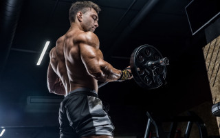 Muscular man bench press brick - alexander kucharsky free wallpaper