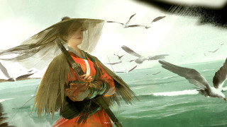 Woman red dress bird seagull - over her free wallpaper for desktop