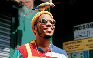 Man parrot sunglasses store renaissance - a store free wallpaper