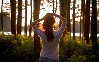Woman forest sunset backlighting autumn - a forest free wallpaper