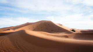 Desert sand dune trees clouds - a large sand dune free wallpaper for desktop