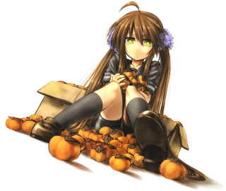 Girl oranges food basket kneehighs - orange free wallpaper