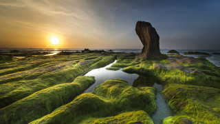 Mossy rock ocean sunset reflection - a large rock free wallpaper for desktop