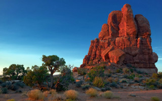Desert rock formation trees bushes - a large rock formation in the middle of a desert area free wallpaper