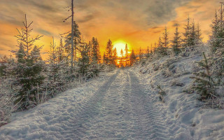 Snow covered road trees sunset - road free wallpaper