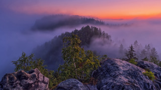 Mountain foggy forest sunset pink - a pink sky free wallpaper
