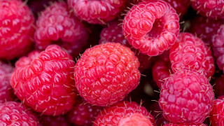Raspberries closeup bloody flower bouquet - a bunch of raspberries free wallpaper