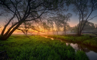 River forest sunset fog autumn - a lush green forest next free wallpaper