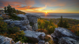 Sunset rocky mountain trees foreground - the foreground and a sun free wallpaper