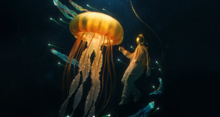 Man jellyfish night sky star - the dark water free wallpaper