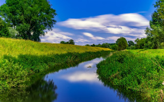 River green hill trees lake - a lush green field next free wallpaper