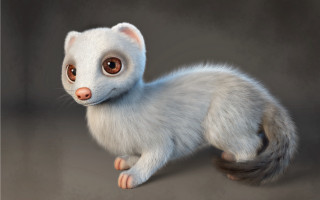 White animal brown eyes tail - a gray surface free wallpaper