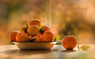 Bowl oranges leafy branch still 2 - the table free wallpaper