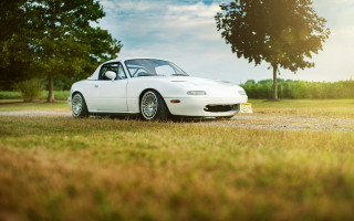 White sports car grass trees 2 - a gravel road free wallpaper