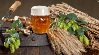 Beer mug barrel knife hops - heavy grain free wallpaper for desktop