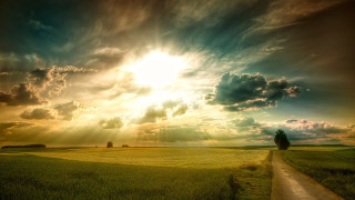 Dirt road field tree sunbeam - a dirt road in a field free wallpaper