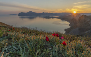 Sunset lake mountains redflowers sky - the foreground and mountains free wallpaper