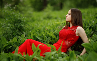 Red dress sitting in field - daphne mcclure free wallpaper for desktop