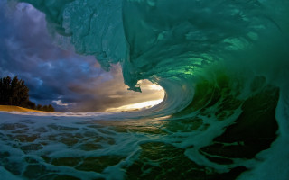 Large wave sunset ocean tree - amazing depth free wallpaper