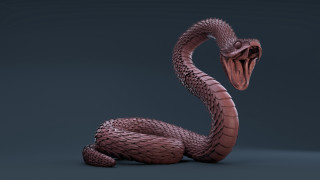 Cobra open mouth shadows scales - zbrush free wallpaper