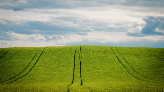 Field sky grass clouds beach - free landscape wallpaper