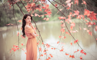 Woman dress tree red leaves - chen lin free wallpaper