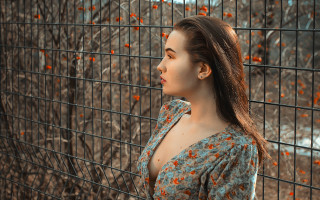 Elina karimova portrait orange fence - orange flower free wallpaper