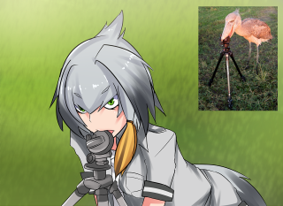 Cartoon character flamingo photo camera - professional photo free wallpaper