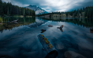 Lake log mountains clouds forest - in the middle of it free wallpaper