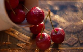 Cherry hand macro photorealism blurry - a persons hand free wallpaper