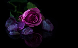 Purple rose crystals reflection black - a reflection of it free wallpaper